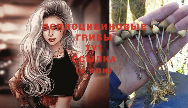прущая мука Алексин