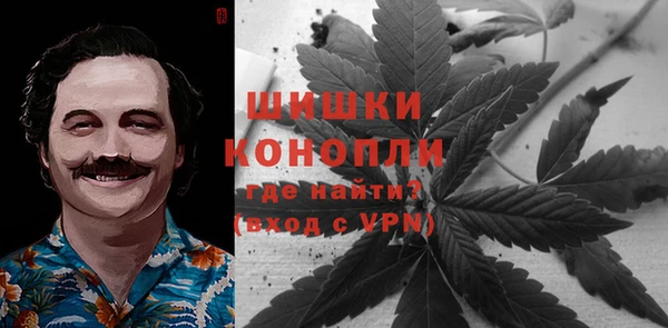 Альфа ПВП Аркадак